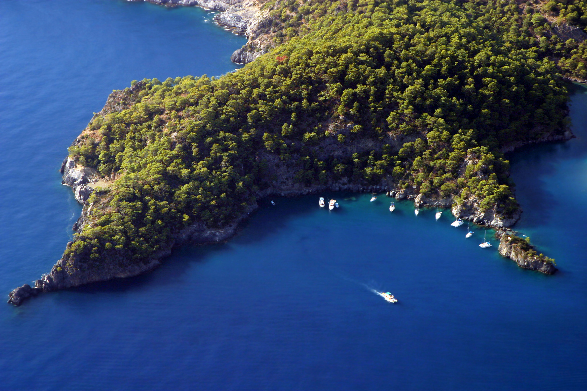 bomberai peninsula (4).webp